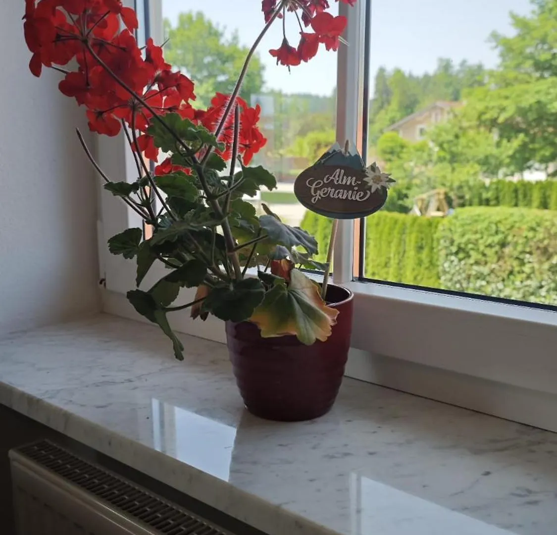 Wohnung Mit Bergblick Waging am See 0*,  Γερμανία